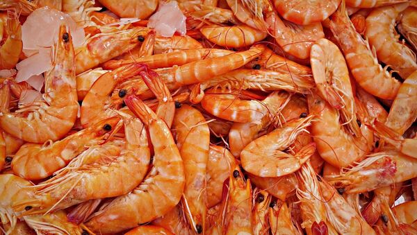 Des crevettes - Sputnik Afrique