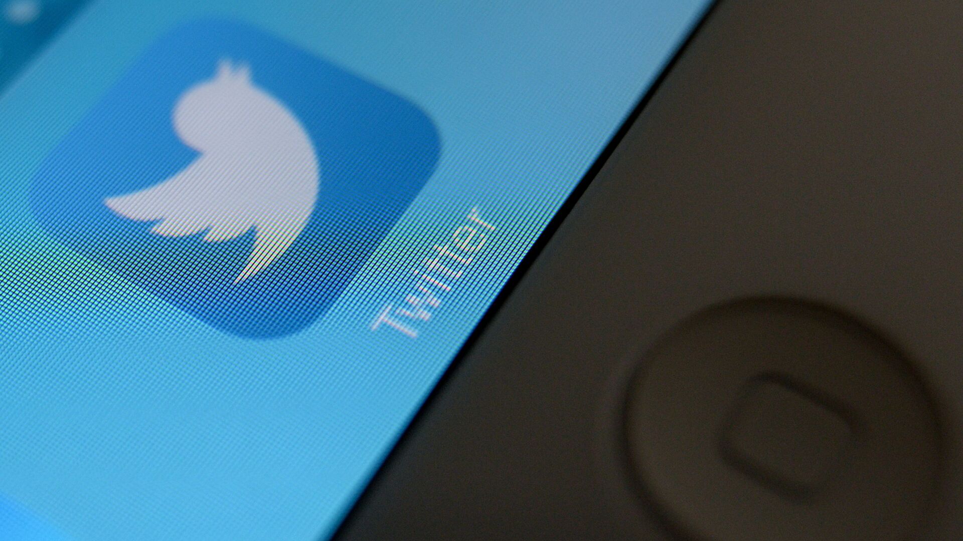 Logo de Twitter Logo de Twitter - Sputnik Afrique, 1920, 10.11.2022