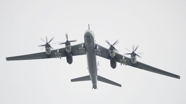Un bombardier stratégique Tu-95MS (archives) - Sputnik Afrique