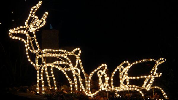rennes de Noël - Sputnik Afrique