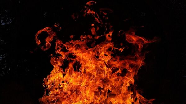 Flammes (image d'illustration) - Sputnik Afrique