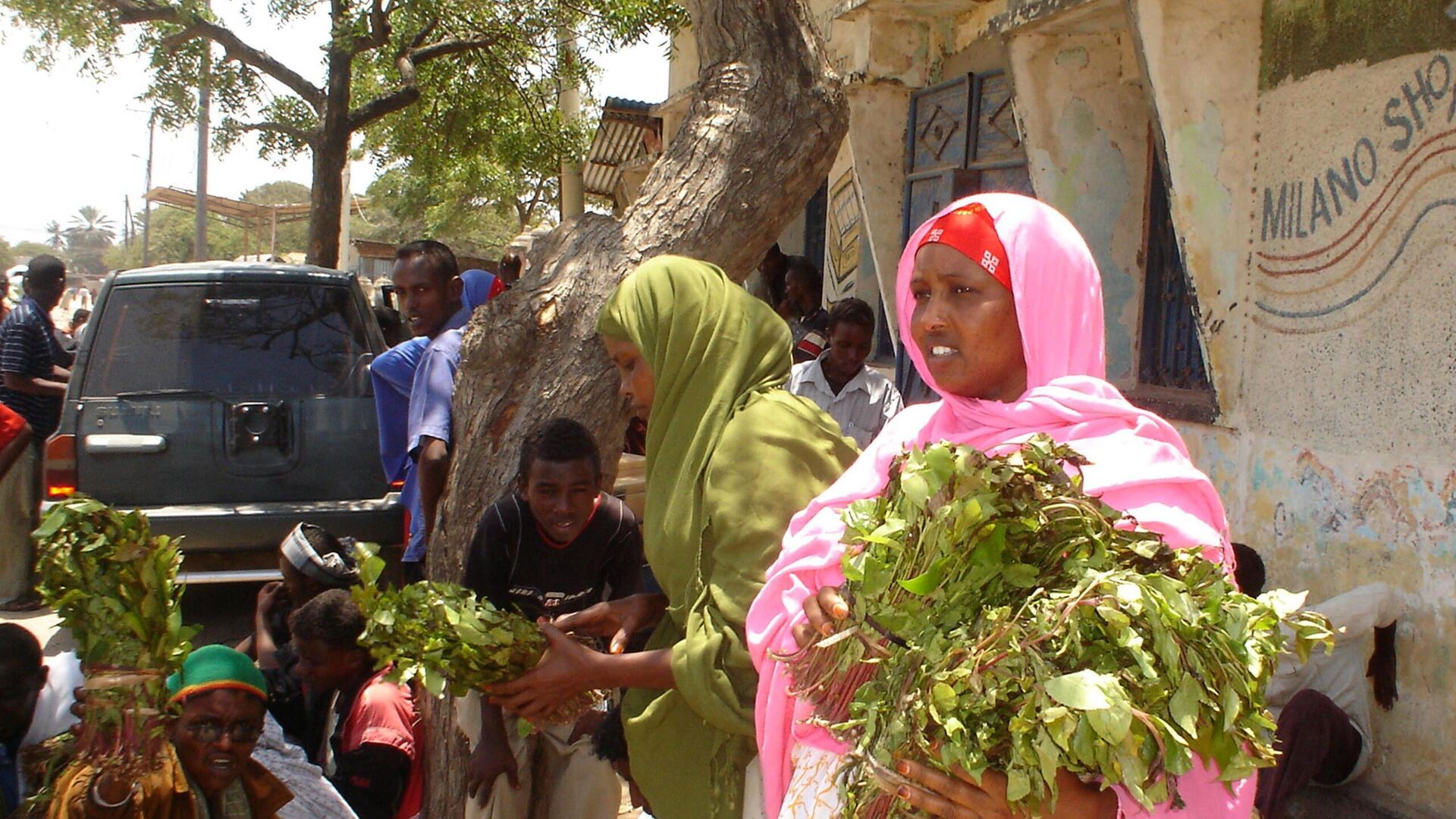 Somali women carry bundles of khat, a leaf that Somalis chew and is a mild stimulant, in the Somali coastal town of Kismayo, Somalia, Monday, Sept. 10, 2007. Somali women carry bundles of khat, a leaf that Somalis chew and is a mild stimulant, in the Somali coastal town of Kismayo, Somalia, Monday, Sept. 10, 2007. - Sputnik Africa, 1920, 06.05.2023