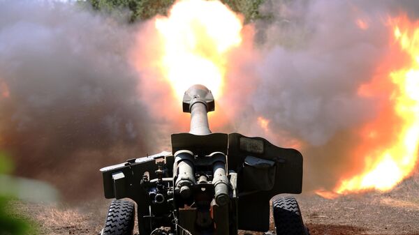 A D-20 howitzer operated by Donetsk People's Republic troops fires at Ukrainian forces in the Yasinovatsky District. August 17, 2022 - Sputnik Africa
