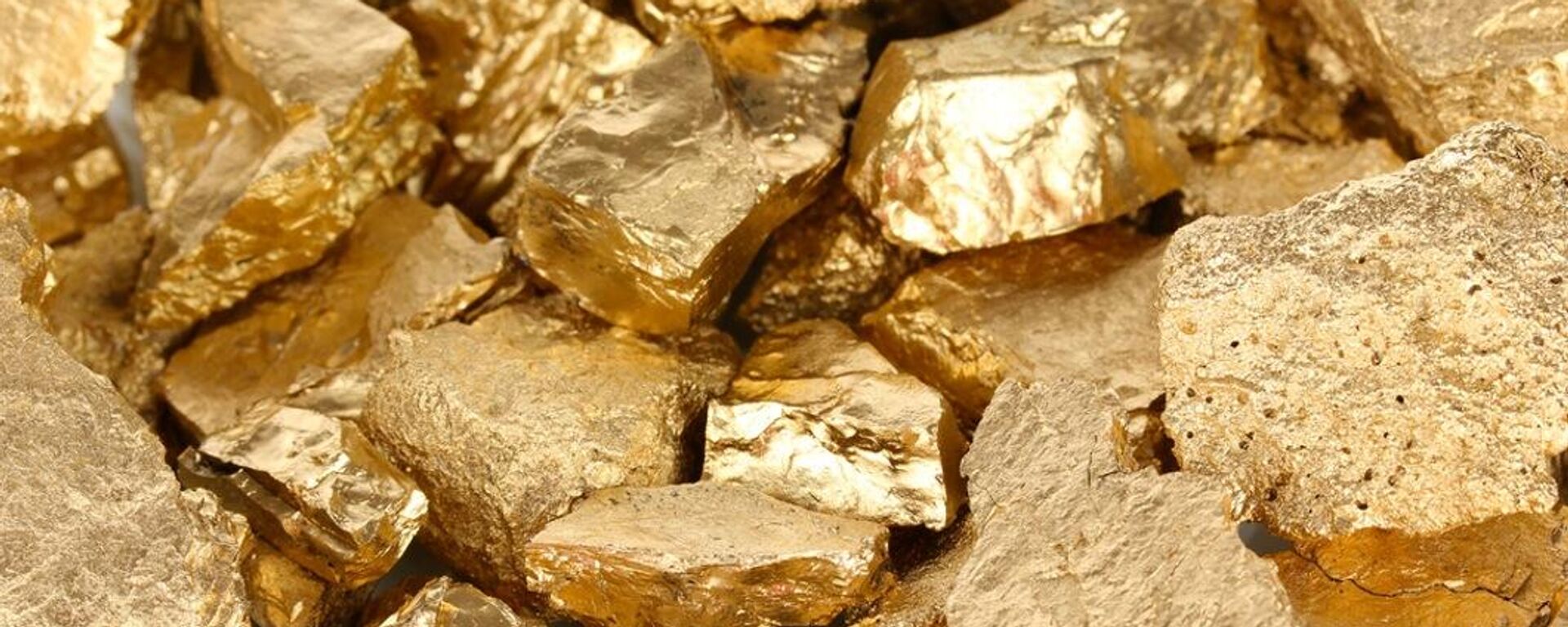 Gold - Sputnik Africa, 1920, 01.05.2024