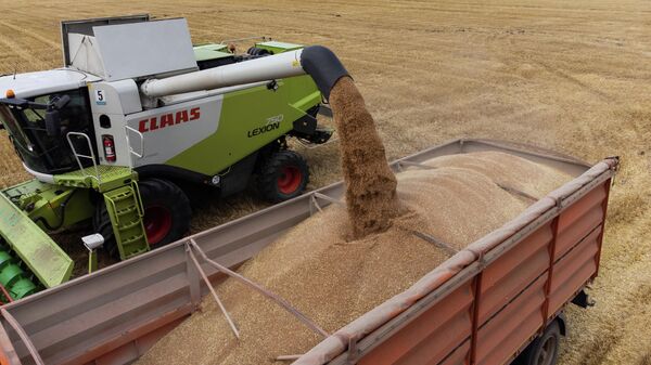 An agricultural worker operates a combine as he loads harvested grain into a truck in the fields of Progress-Agro company in Krasnodar region, Russia on Friday, June 30, 2023. - Sputnik Africa