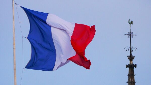 The French flag - Sputnik Africa