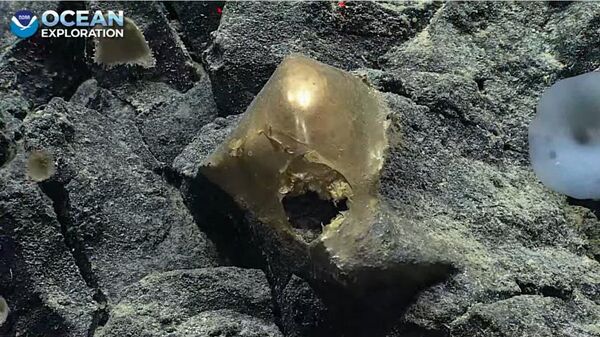 Unknown object on the seafloor of Alaska - Sputnik Africa