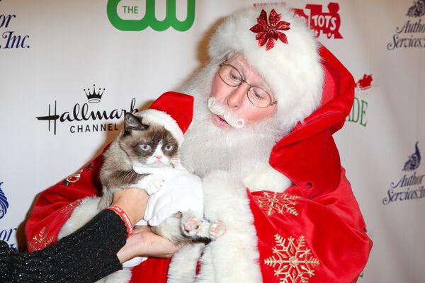 Grumpy Cat arrives at the 84th Annual Hollywood Christmas Parade on Sunday, Nov. 29, 2015, in Los Angeles. Grumpy Cat arrives at the 84th Annual Hollywood Christmas Parade on Sunday, Nov. 29, 2015, in Los Angeles. - Sputnik Africa