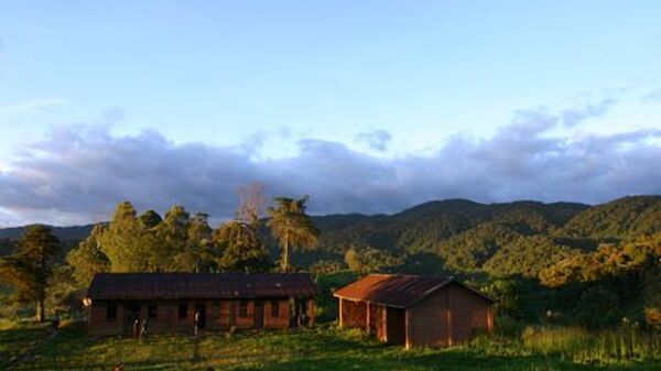  Itombwe Mountains in the Democratic Republic of the Congo  - Sputnik Africa
