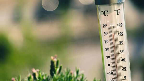 Un thermomètre, image d'illustration - Sputnik Afrique