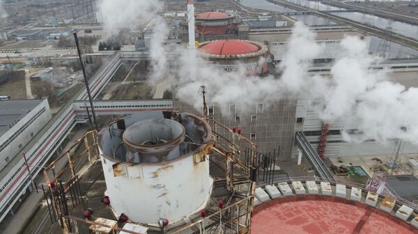 Zaporozhye nuclear power plant - Sputnik Africa
