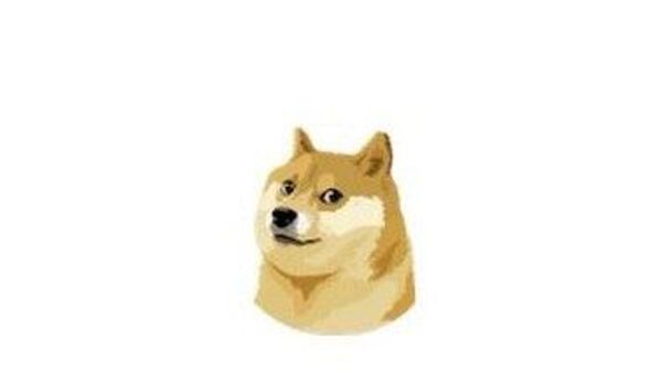 Doge - Sputnik Africa