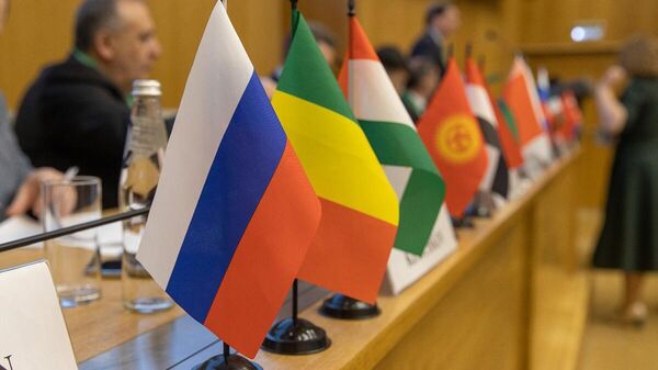 The first online conference on the exchange of experience of universities-participants of the consortium Russian-African Network University in the implementation of projects for the sustainable development of African countries Contribution of Russian and African universities to the sustainable development of regions on December 22, 2023. - Sputnik Africa