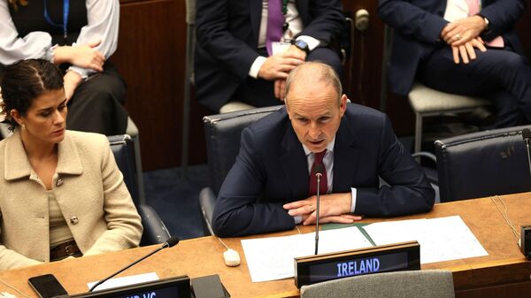 Irish Foreign Minister Micheal Martin - Sputnik Africa