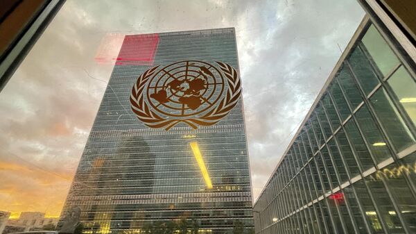 The UN - Sputnik Africa