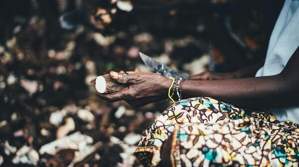 Un manioc, image d'illustration - Sputnik Afrique