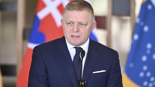 The Vice President of Brazil, Geraldo Alckmin, receives the Prime Minister of Slovakia, Robert Fico, for a bilateral meeting at the Itamaty Palace in Brazil, on December 10, 2024.  - Sputnik Africa