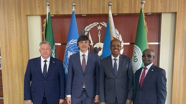 L'ambassadeur russe à Djibouti Mikhaïl Golovanov, le ministre russe de l'Éducation Sergueï Kravtsov, le chef de la diplomatie djiboutienne Mahamoud Ali Youssouf et l'ambassadeur djiboutien à Moscou Ali Mohamed Kamil, lors de leur rencontre à Djibouti en 2024 - Sputnik Afrique