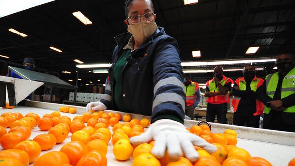 General view during the visit tp the port of Durban to see off the first shipment of South African citrus to the Philippines on June 08, 2021 in Durban, South Africa. - Sputnik Africa