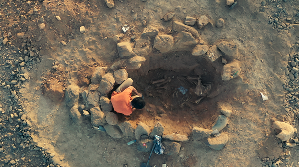 A Russian anthropologist clearing the burial of a cow at the Onib pit in the Nubian desert in Sudan.  - Sputnik Africa