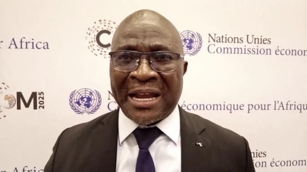 Director of Revenue and Tax Policy at Sierra Leone's Ministry of Finance and Economic Development, Idrissa Emking Kanu. - Sputnik Afrique