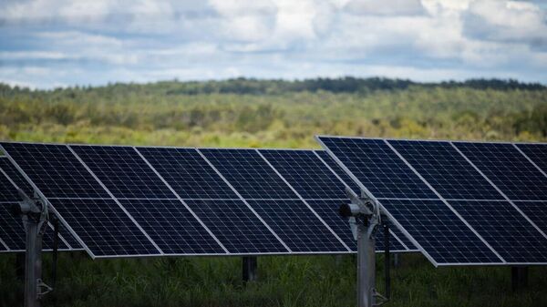Zimbabwe Boosts Solar Energy with International Partnership - Sputnik Africa