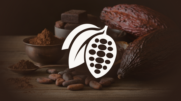 Main producers of cocoa beans in the world - Sputnik Africa