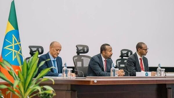Ethiopian Gov't Rolls Out $1.6 Billion in Subsidies, Registering Progress on 'Many Fronts' - Sputnik Africa