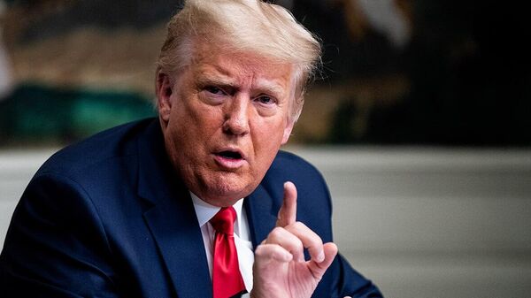 L'Ukraine devrait immédiatement accepter les négociations proposées par Poutine en Turquie, déclare Trump - Sputnik Afrique