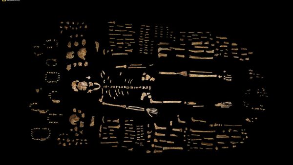 Un squelette fossilisé - Sputnik Afrique