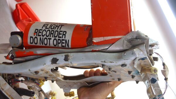 Les boîtes noires de l'Airbus A321 qui s'est écrasé dans le Sinaï suite à l'attentat terroriste - Sputnik Afrique