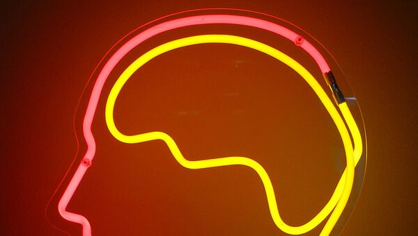cerveau - Sputnik Afrique