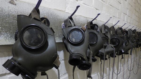 masque à gaz - Sputnik Afrique