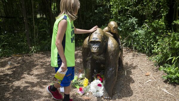 Harambe - Sputnik Afrique