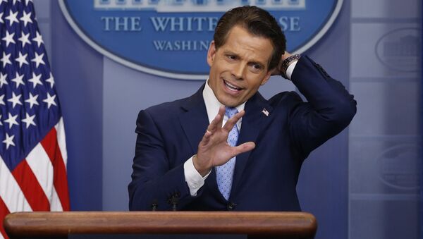 Anthony Scaramucci - Sputnik Afrique