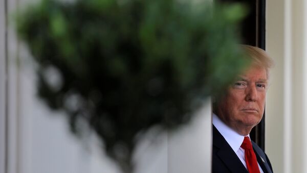 Donald Trump, presidente de EEUU - Sputnik Afrique