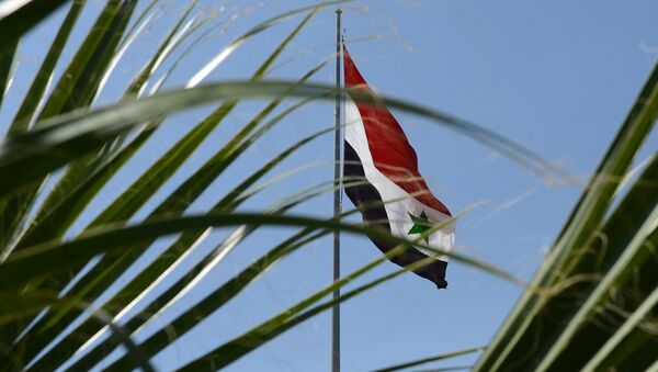 Syrie - Sputnik Afrique