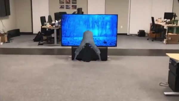 Le film d’horreur The Ring prend la vie dans cet appartement! - Sputnik Afrique