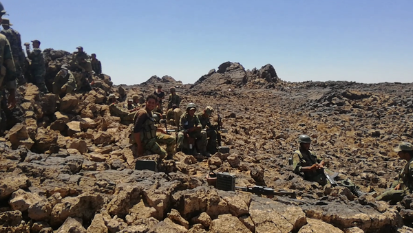Syrie: le champ volcanique d’al-Safa transformé en champ de bataille - Sputnik Afrique