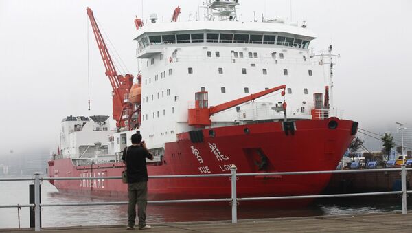 Brise-glace Xuelong - Sputnik Afrique