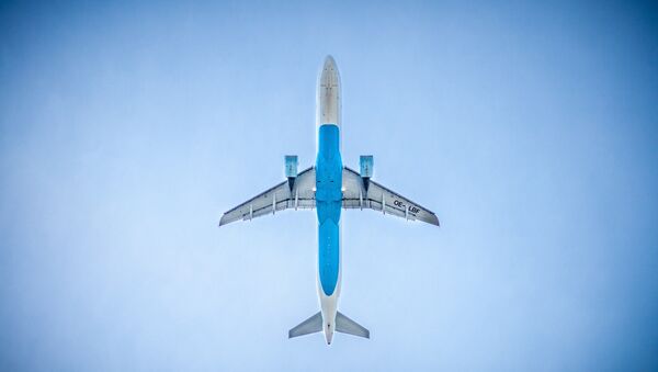 Un avion - Sputnik Afrique