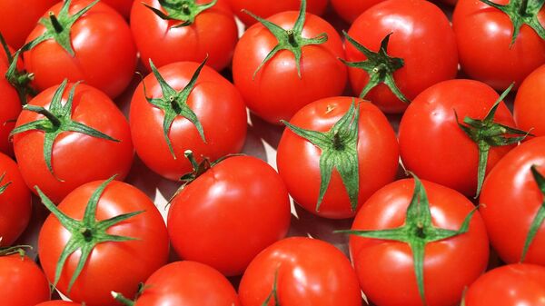 Tomates - Sputnik Afrique