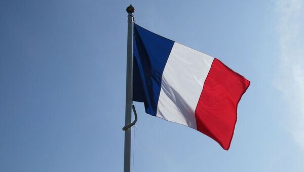 drapeau français - Sputnik Afrique