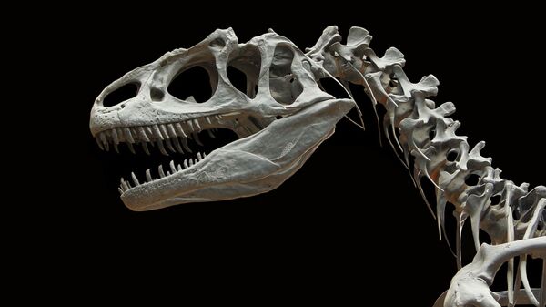 Squelette de dinosaure - Sputnik Afrique