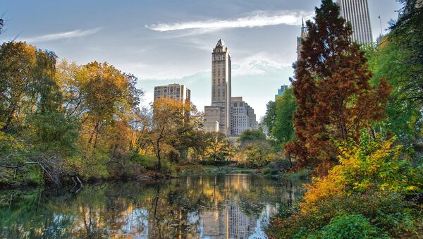 Central Park - Sputnik Afrique