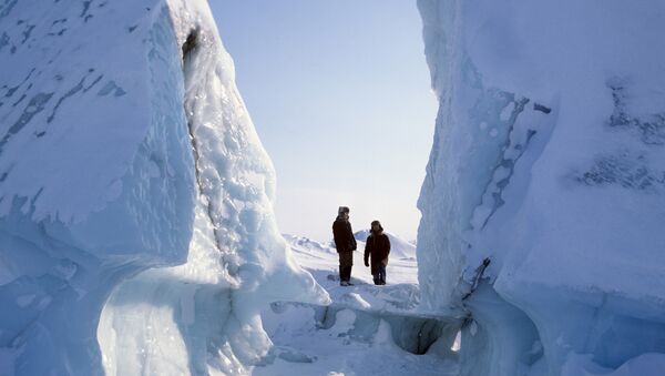 Dégoûté de son travail, il parcourt 65 km à pied dans le désert arctique - Sputnik Afrique